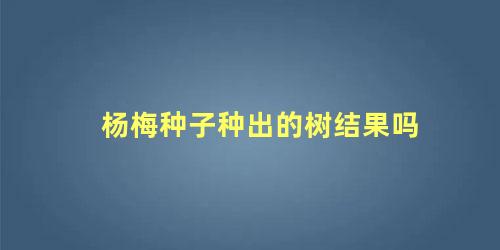 杨梅树要施什么肥(杨梅结果后施什么肥)